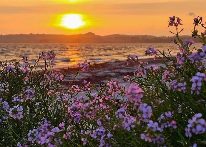 8241-knebel-agersnerlevej-4 بيت للعطل